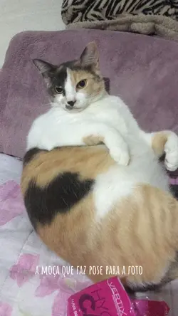 FAZ POSE PARA FOTO
