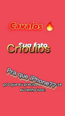 Cavalo crioulo :0