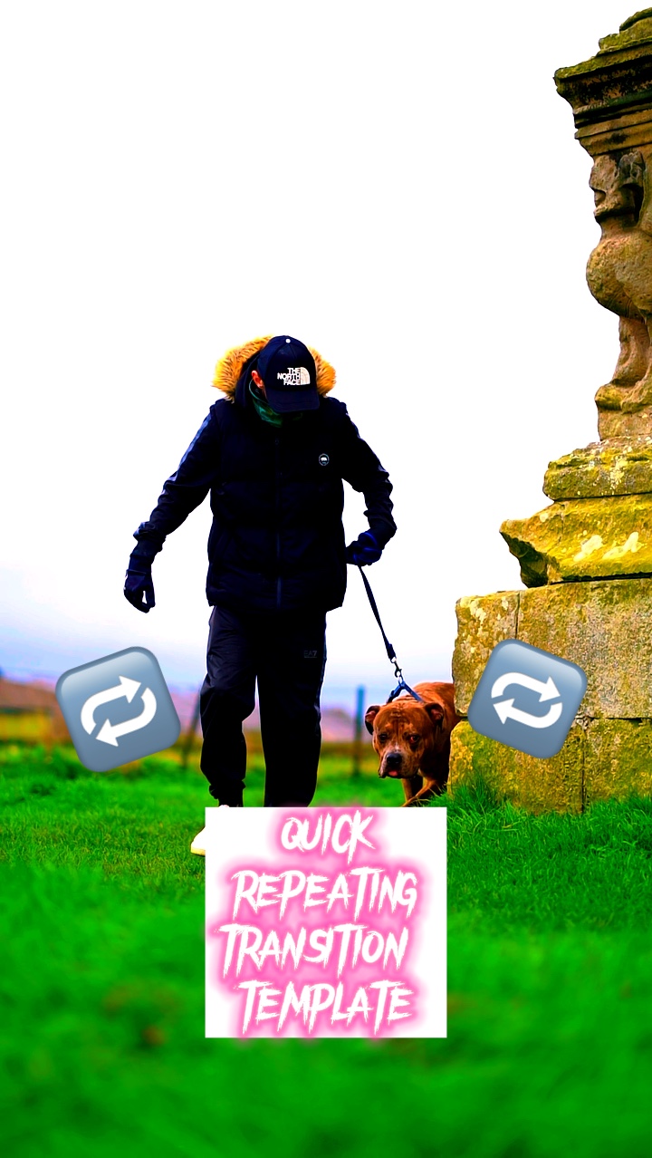 Fast Repeat Switch