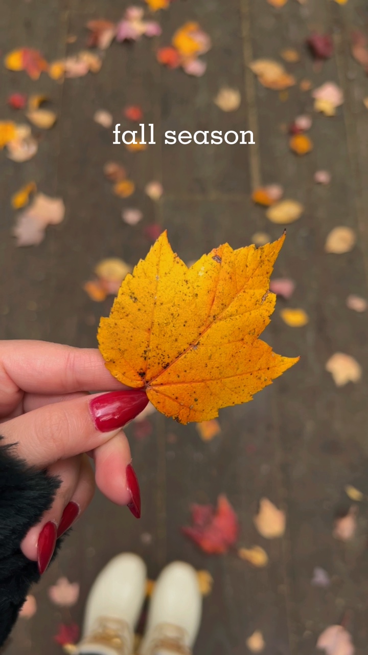 Mini-Vlog🍁🍂