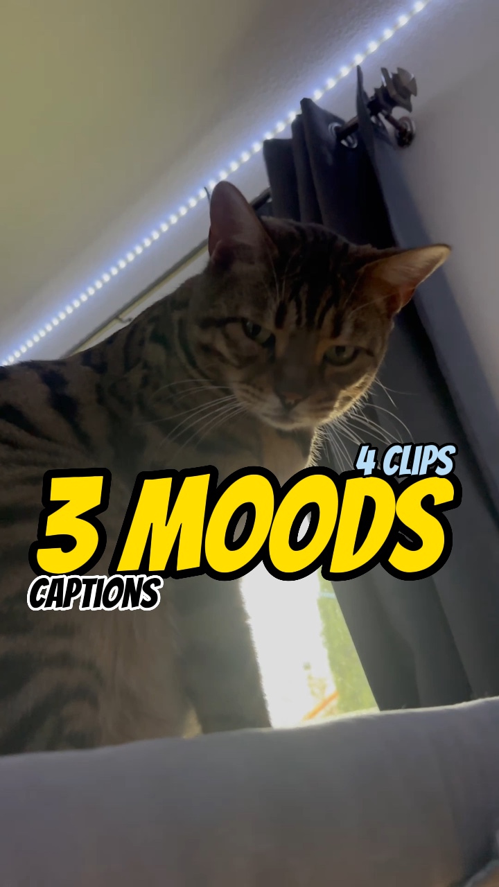 3 moods in morning