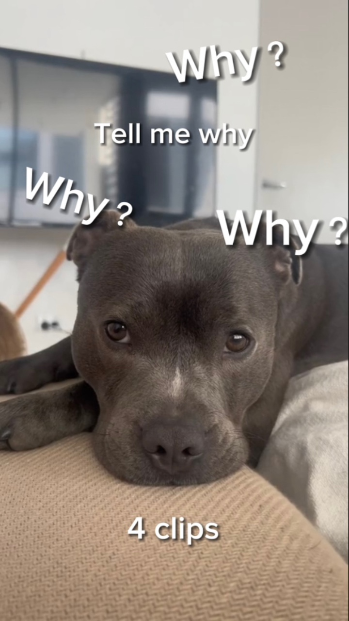 tell me why