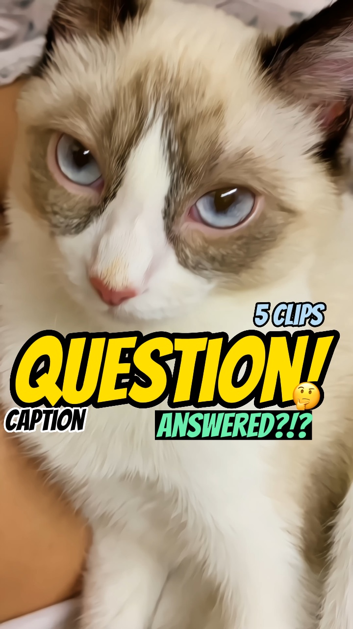 Question pour vous!