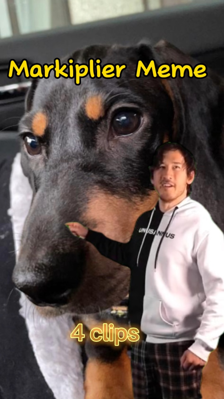 Meme Markiplier