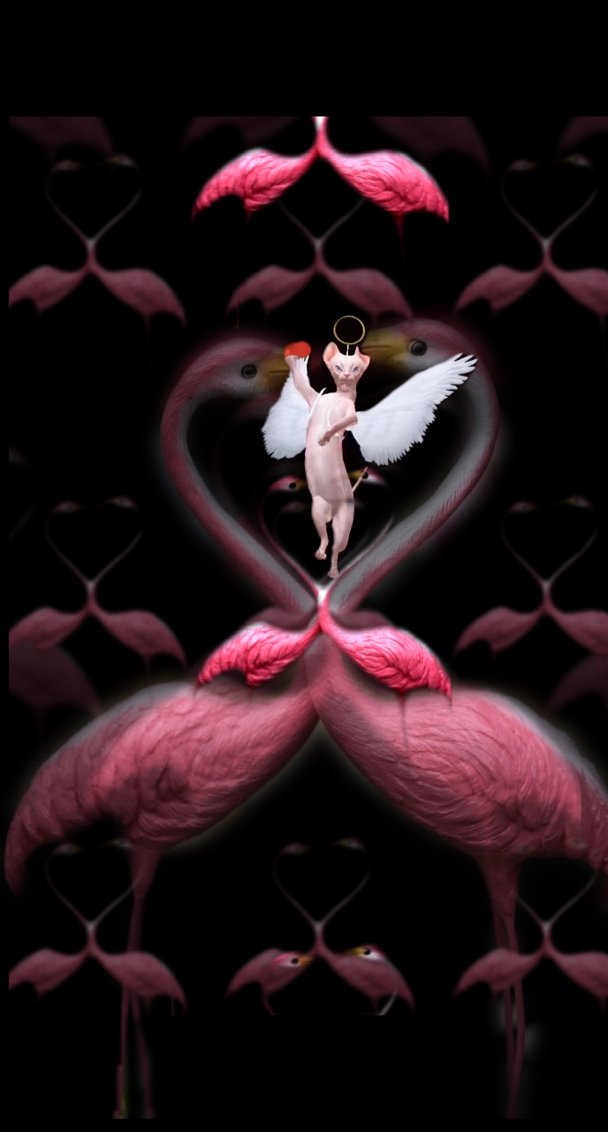 Cupid
