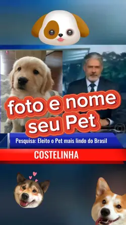 seu Pet 