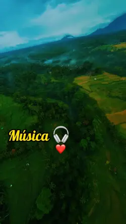Música 🎧 