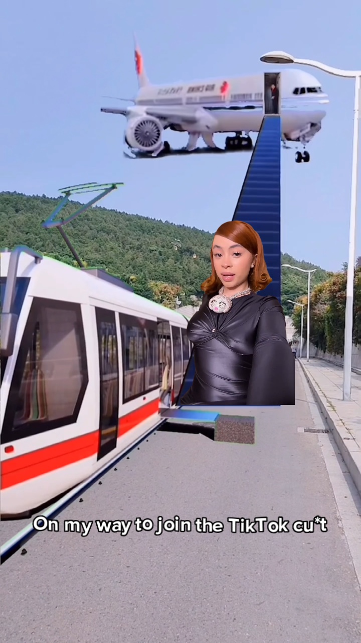 Meme de vol ✈️