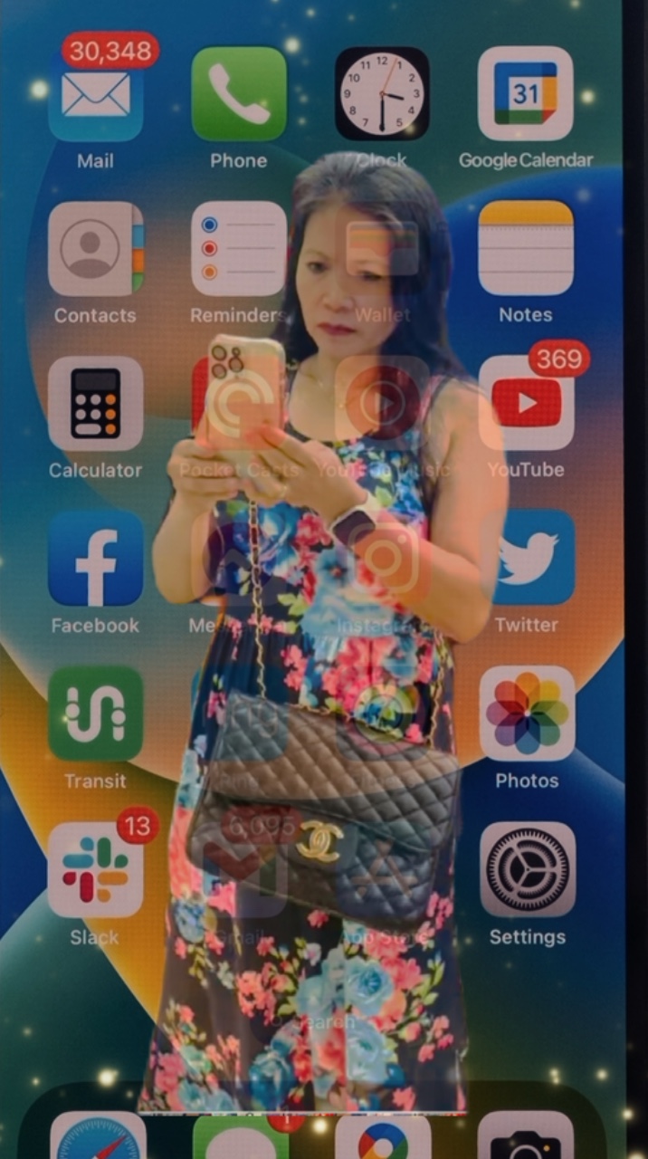 Vergs AppleProduto