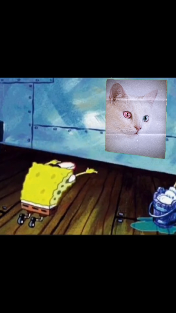 Sünger Bob
Sünger Bob
