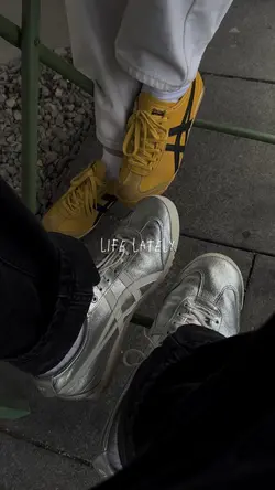 life lately ⭐️