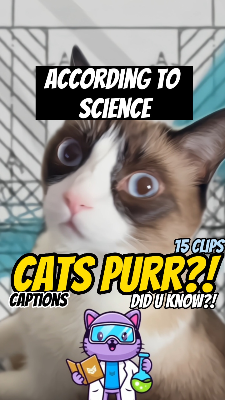Behind a cats purr!