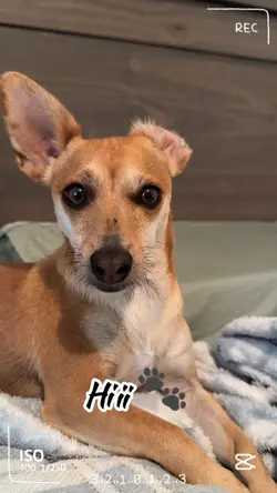 I am your bestie