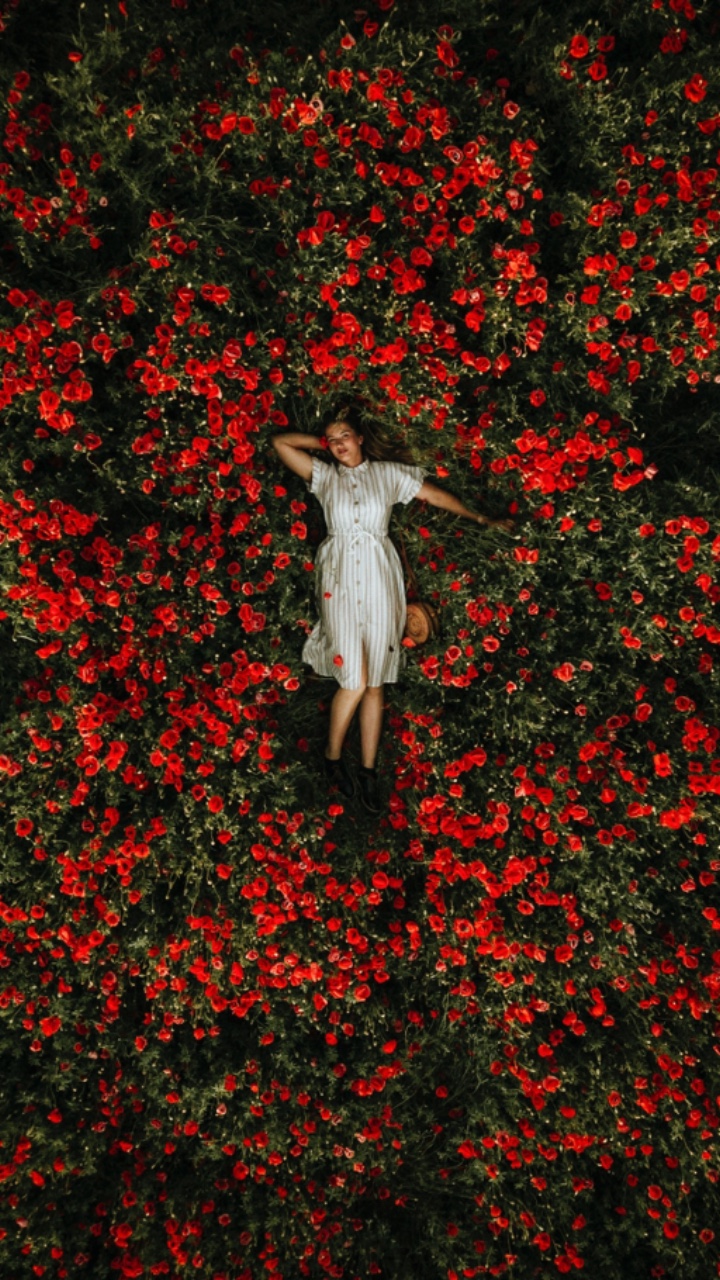 Hermosas flores