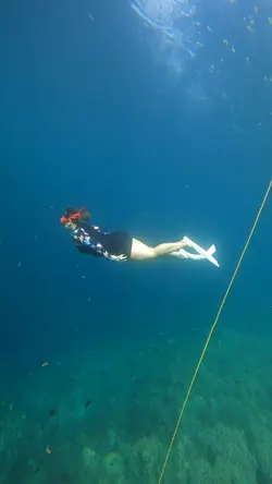 Freedive β€οΈ