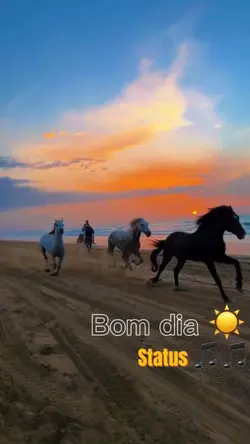 Música 🎵 status
