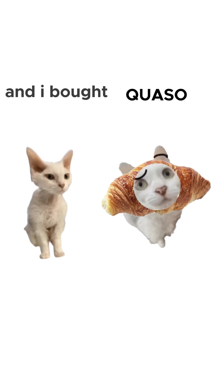콰소🥐