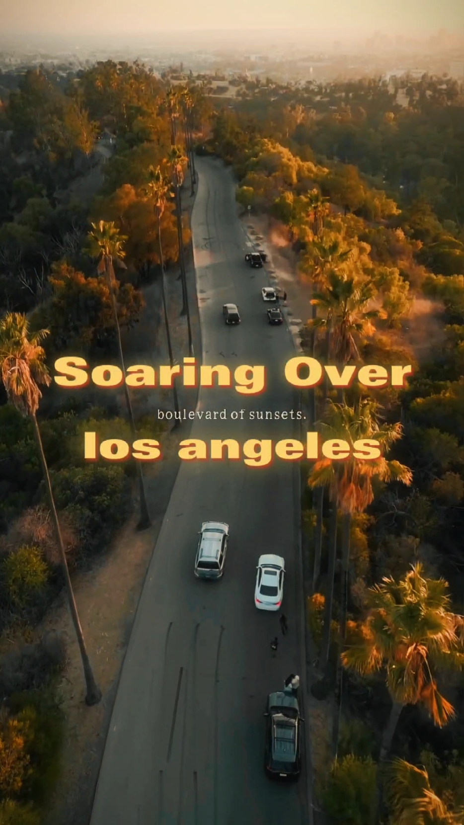 Movies in LA