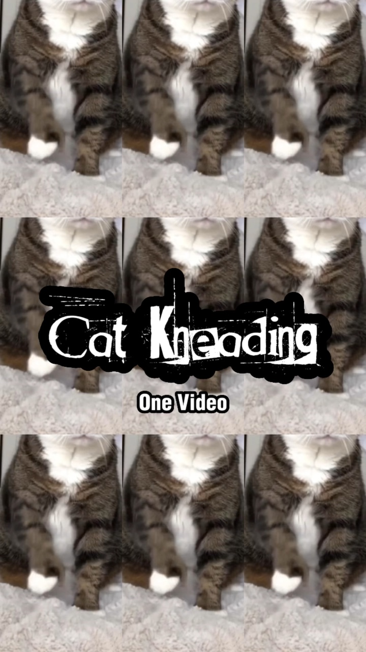 Kedi Yoğurma 