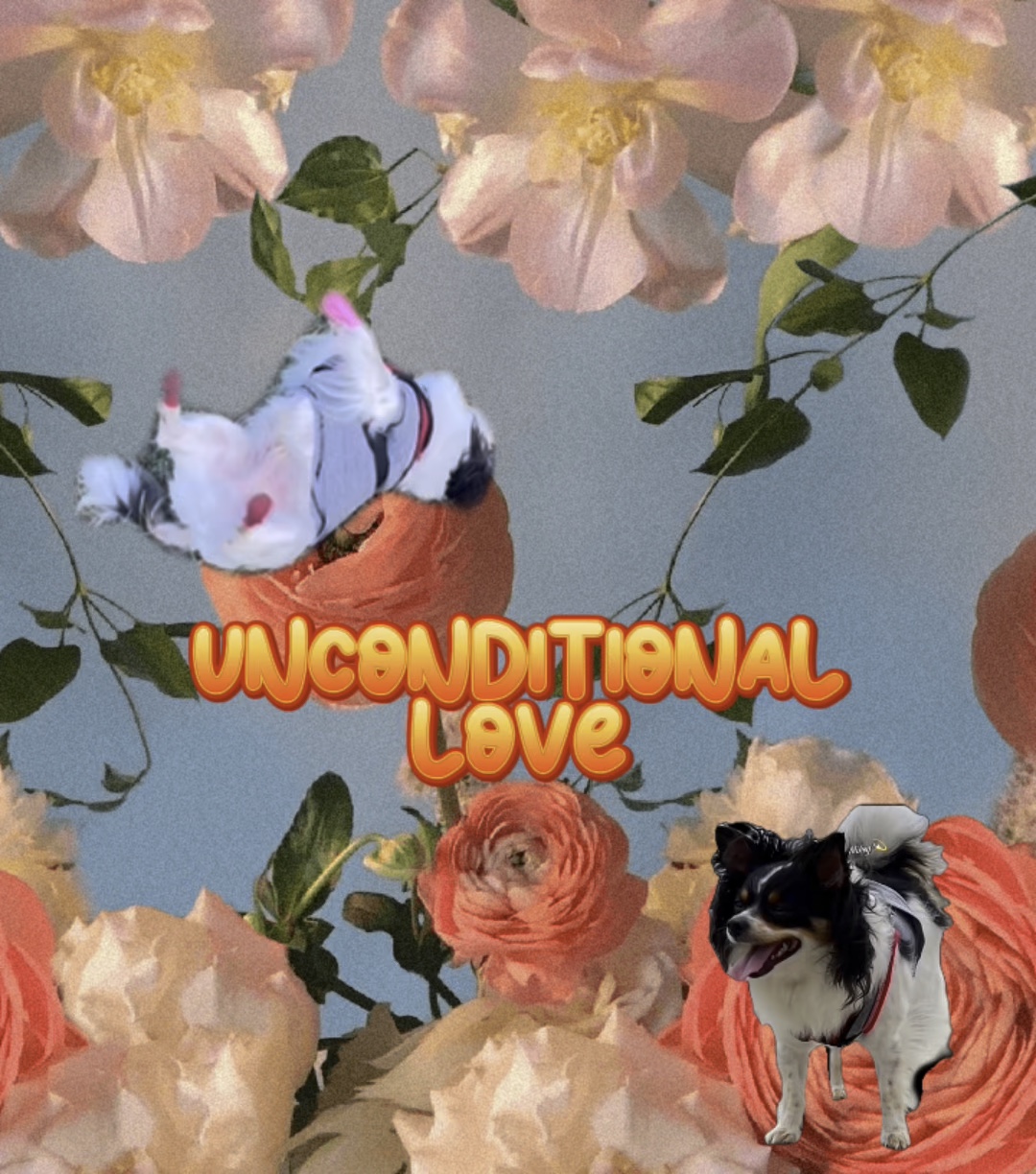 Amor incondicional