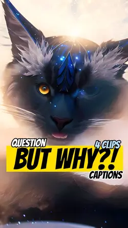 But why?!?