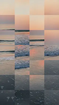 Fotos Transition