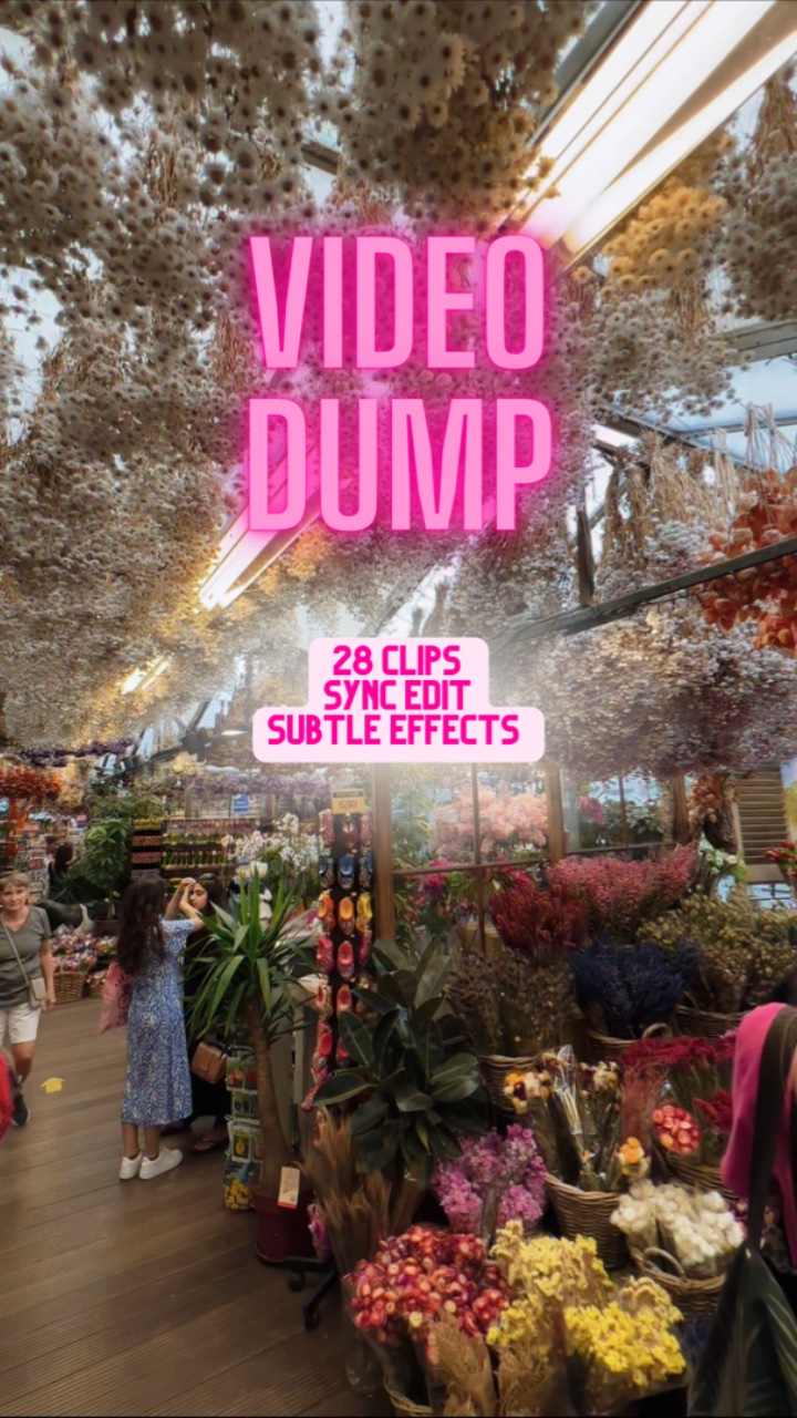vidage vidéo