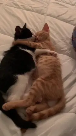 <3