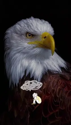 Falta d consideração