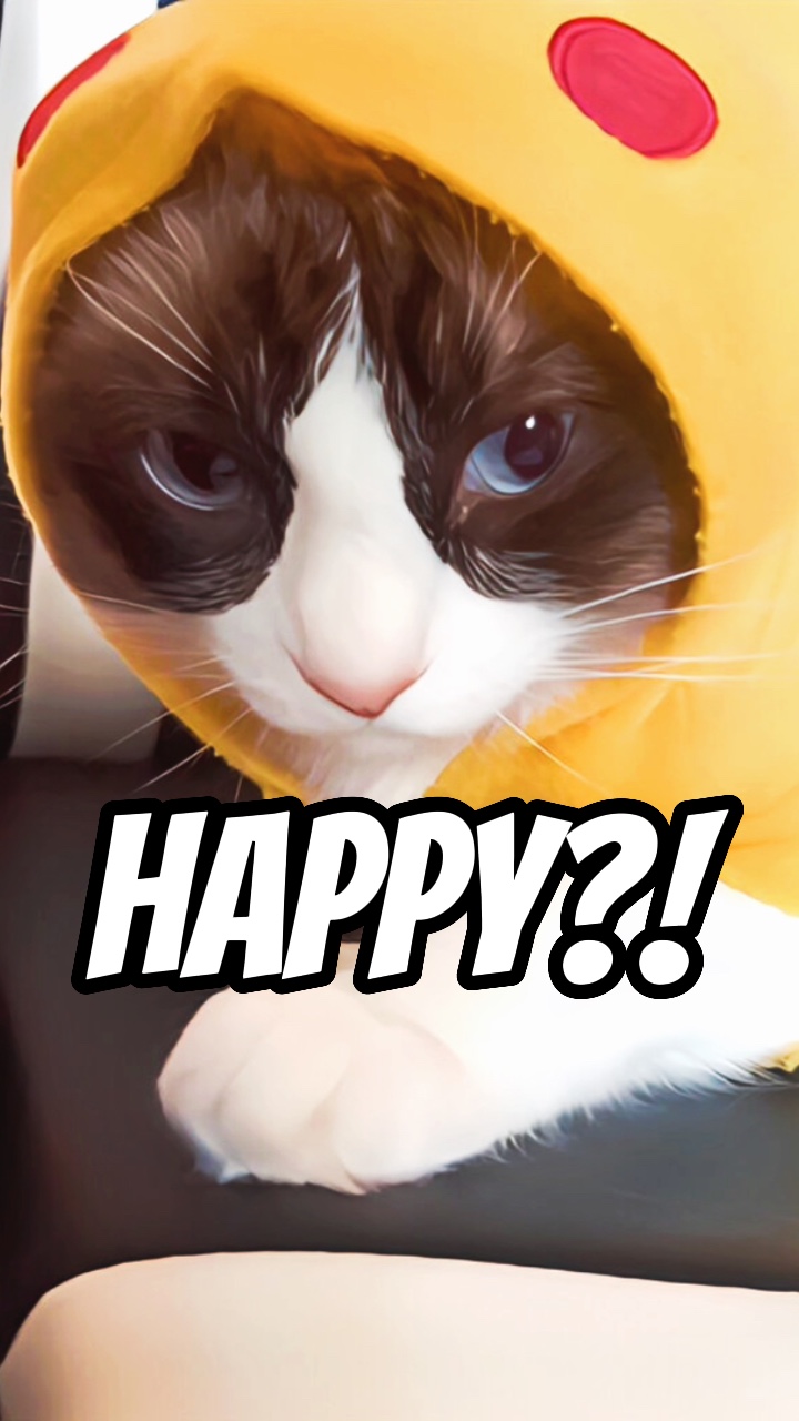 Vida feliz?!