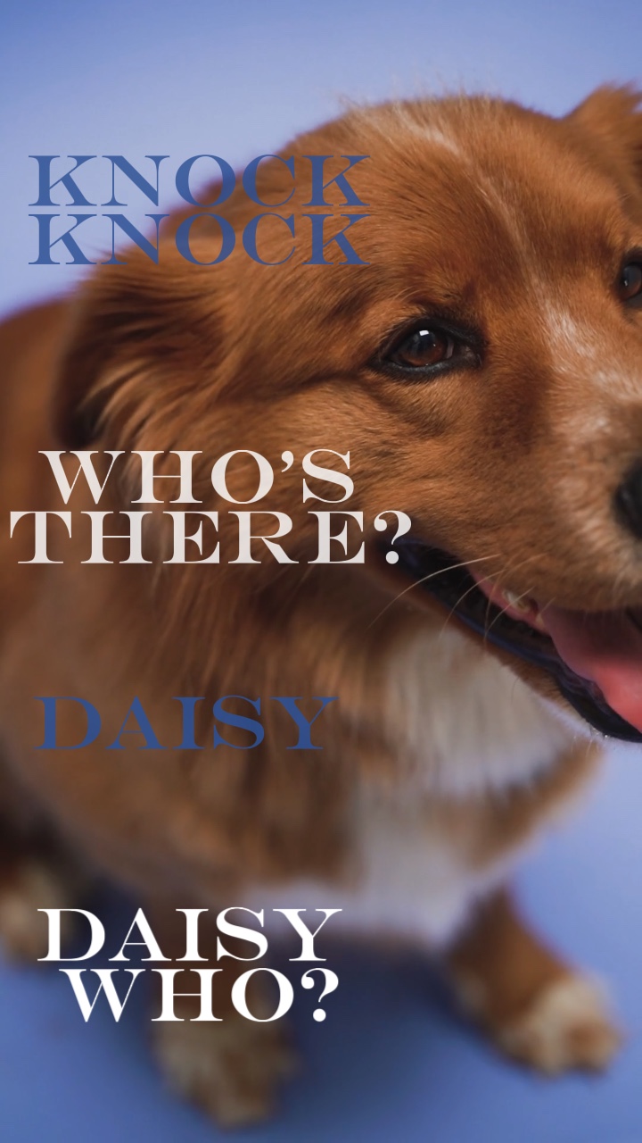 Daisy me está rodando😎