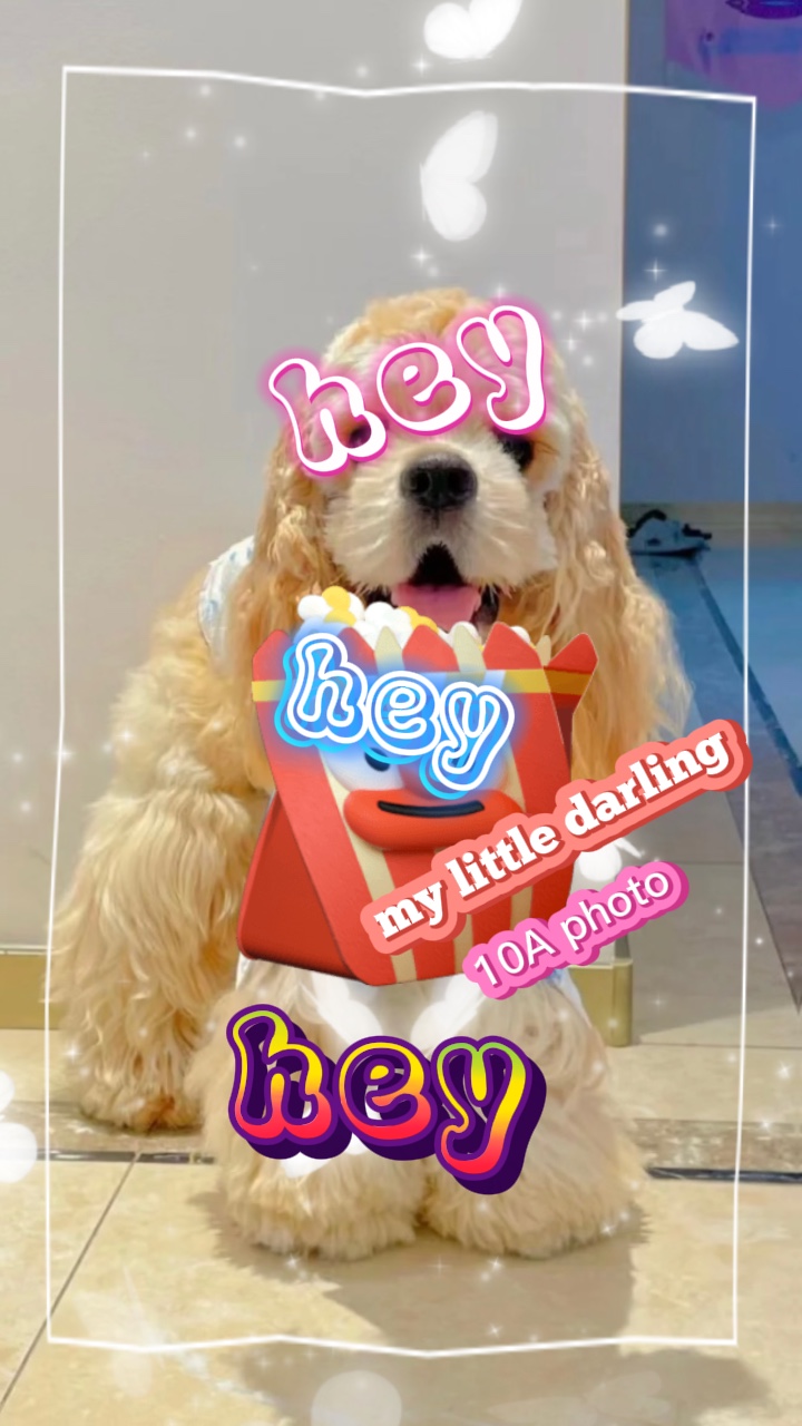 Minha queridinha