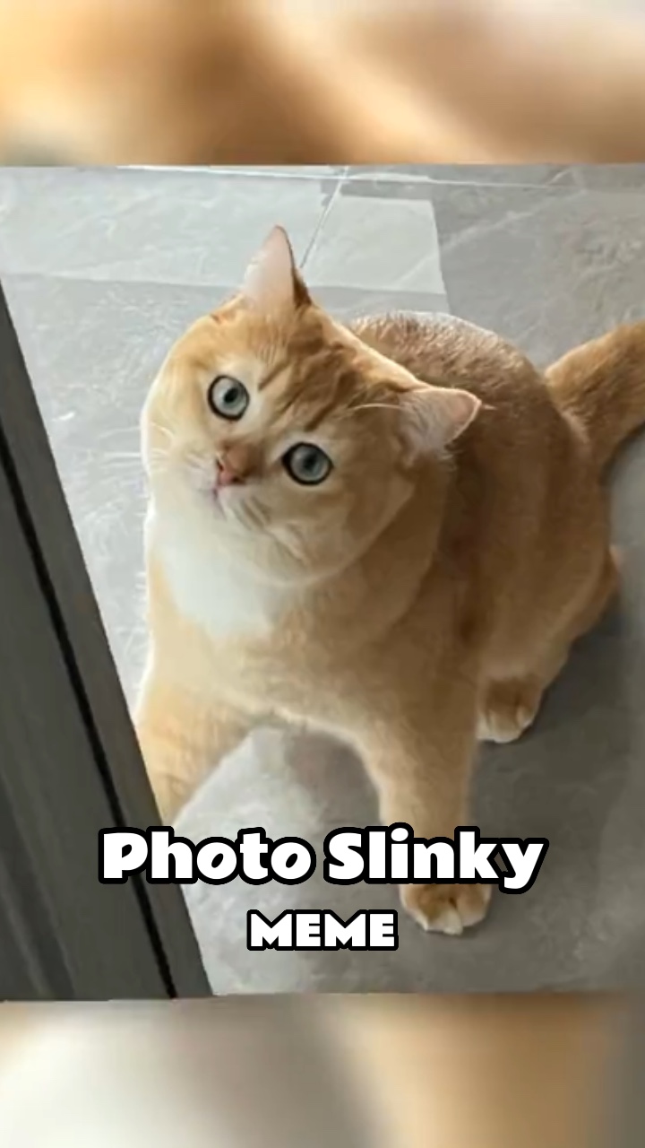 Foto meme furtivo