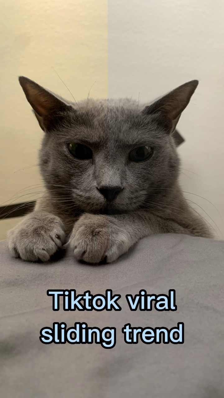tiktok viral slayt