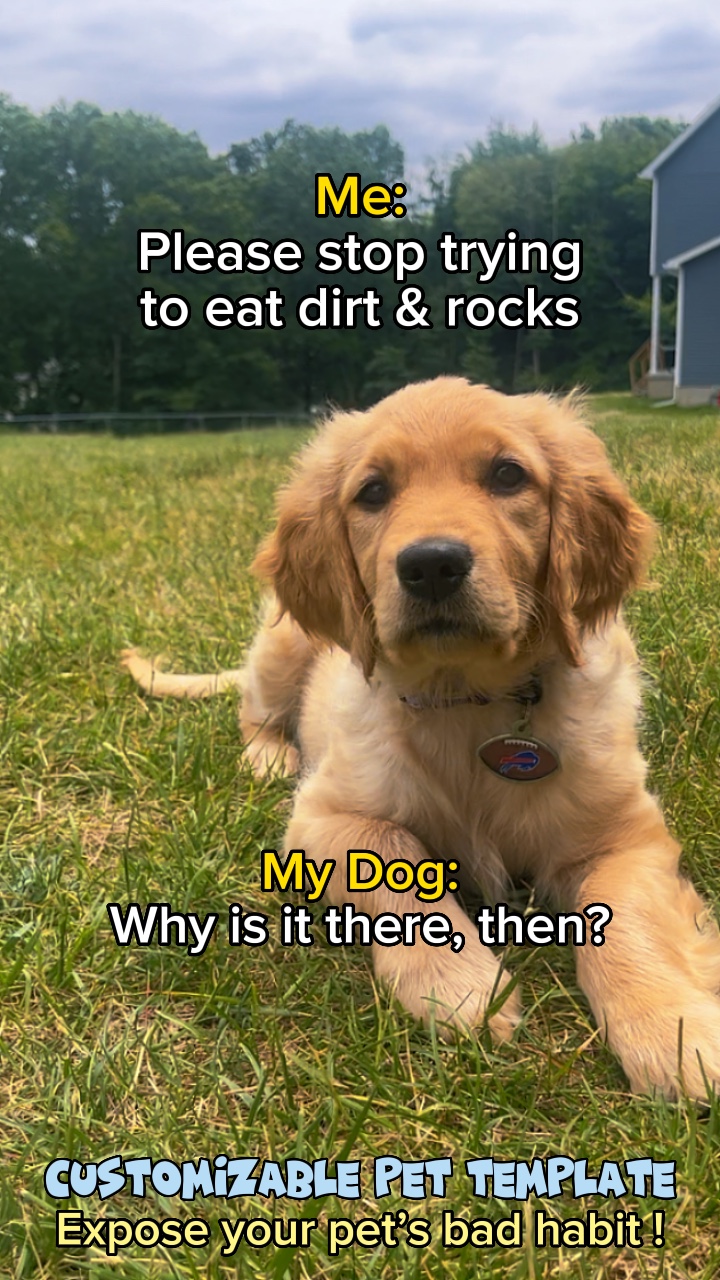 Pet Habits Trend