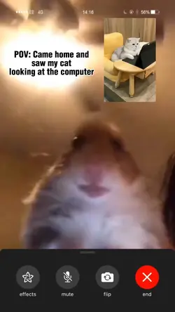 Video Calling