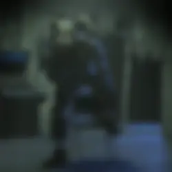 Put any fall vid
