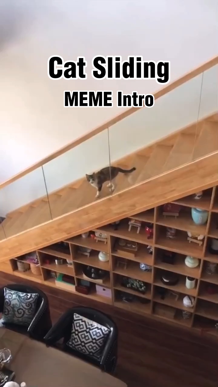 Chat coulissant