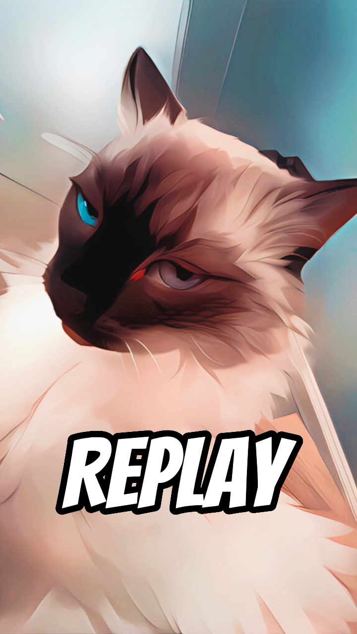 Replay Cover
