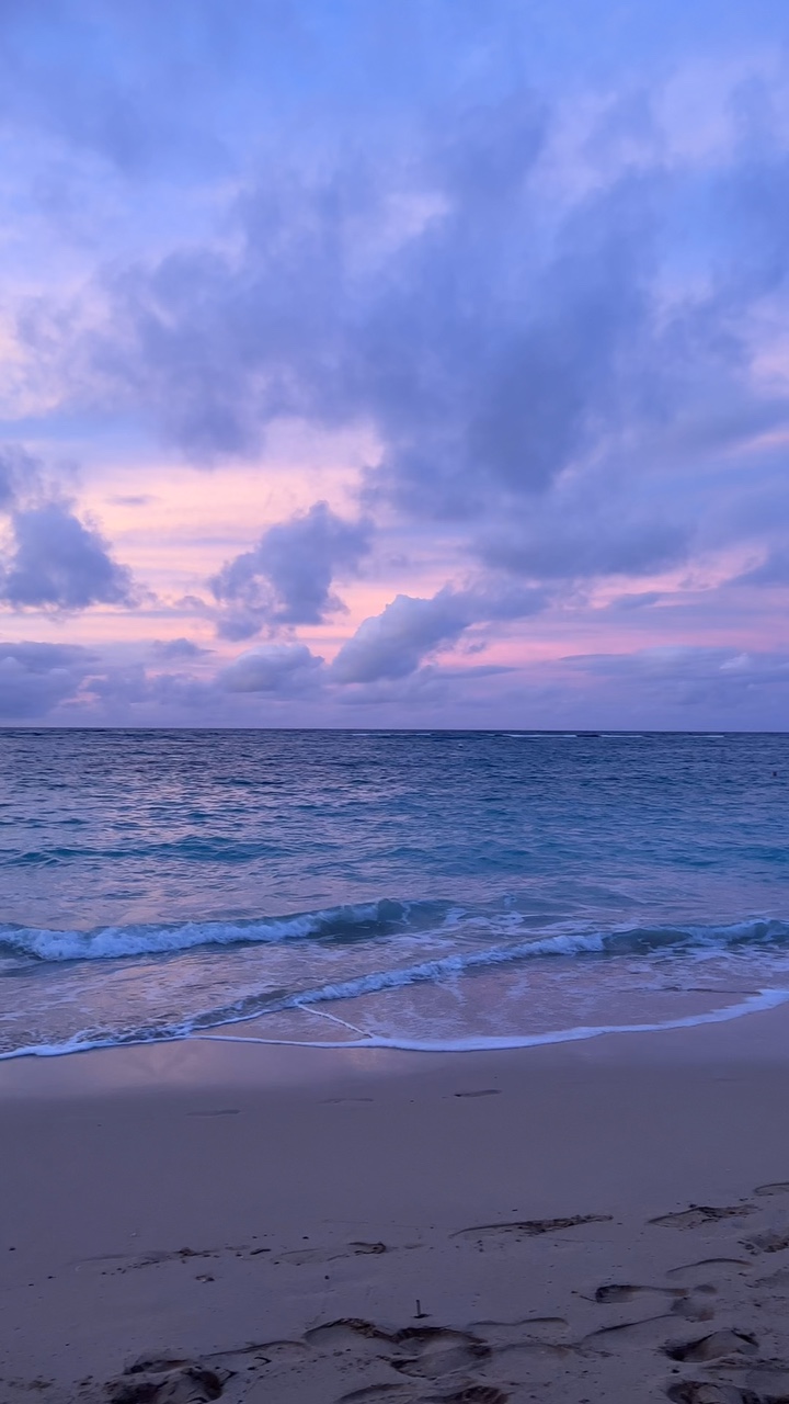 Hawaii ✨🐚