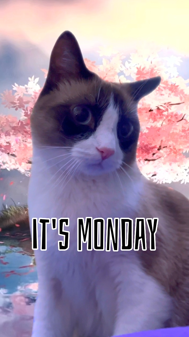 ¡¿Lunes?!