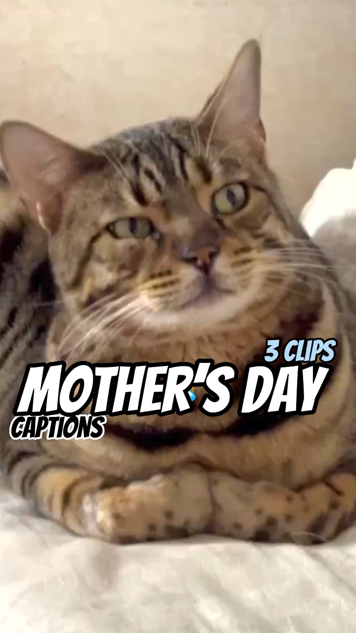 Día de la Madre