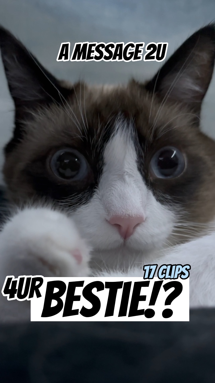 Beste Freundin!