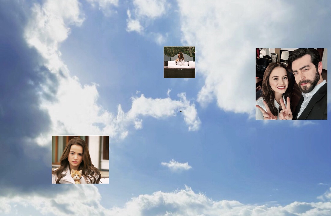 Cover Picture