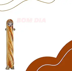 E VAI