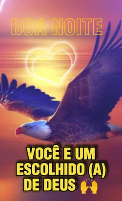 BOA NOITE 