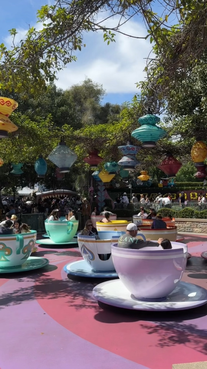 Disneyland Vlog