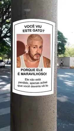procurando 