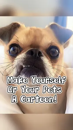 Cartoonify Yourself!