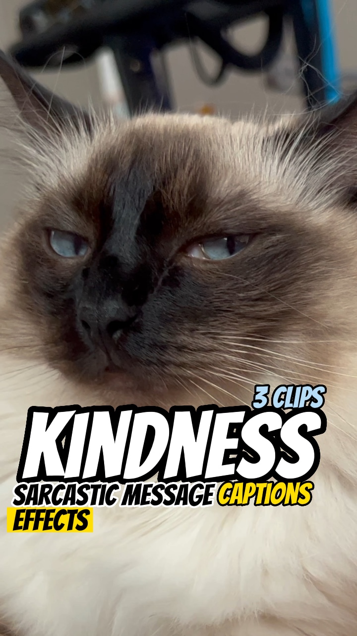 Kindness